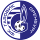 Team logo